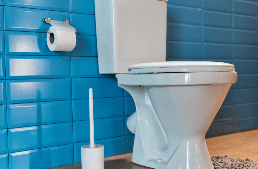 PLUMBING SERVICE PROFESSIONAL’S BUYING GUIDE FOR TOILETS