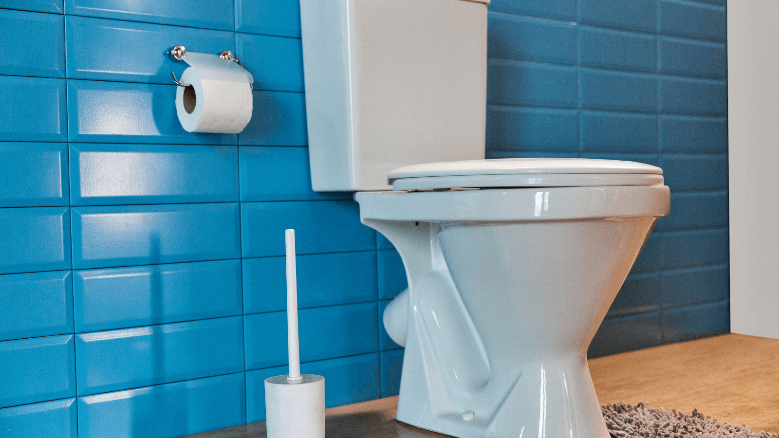 PLUMBING SERVICE PROFESSIONAL’S BUYING GUIDE FOR TOILETS