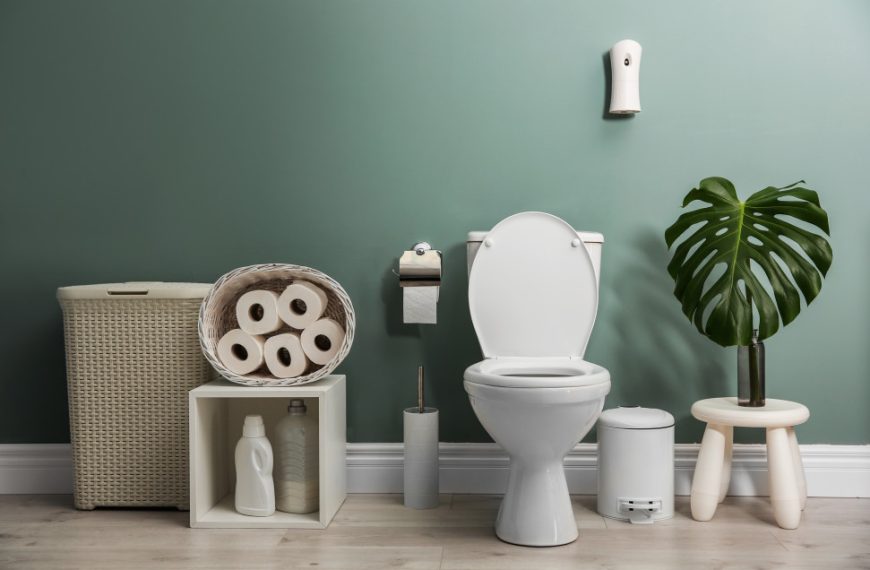 Water Efficient Toilets: Help The Earth And Your Wallet Also